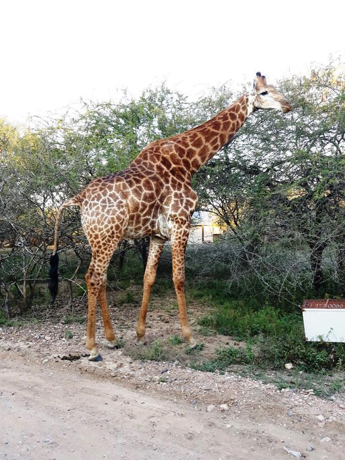 African Sky Marloth Park Exterior foto